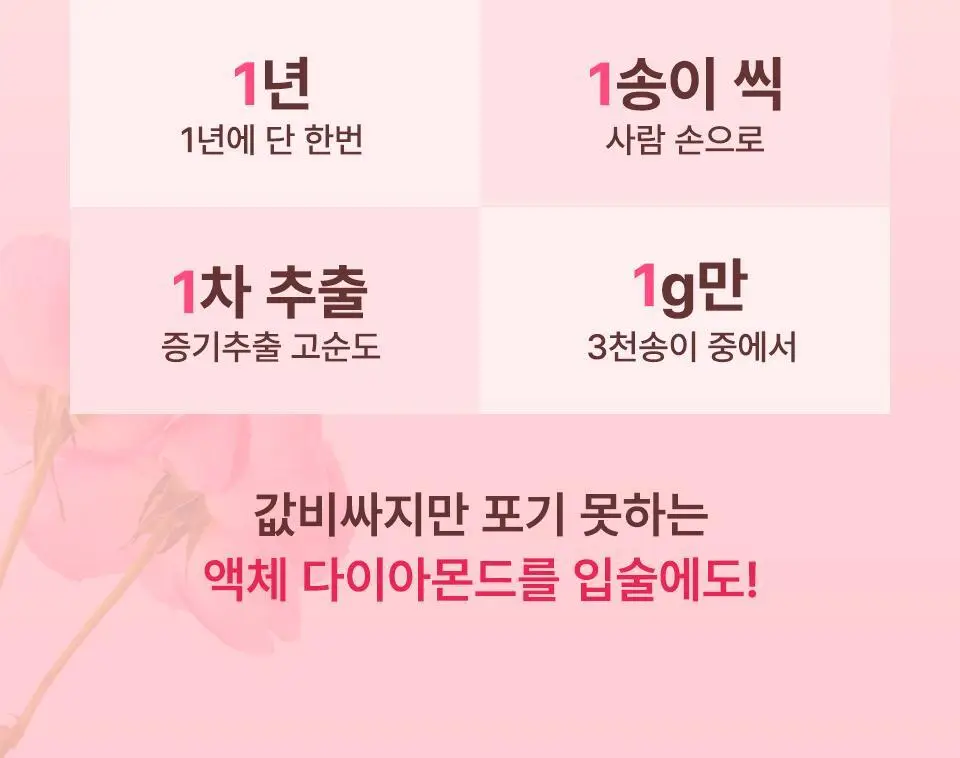 [컬러립밤] 아이소이 립 트리트먼트 밤 5g 5종 상세페이지 16